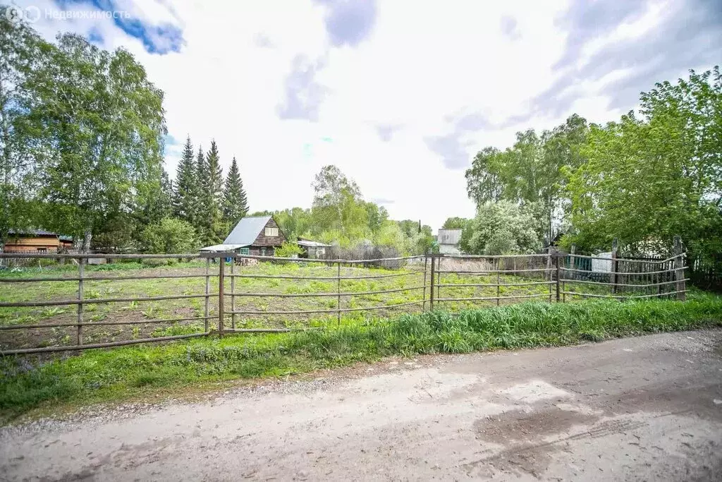 Дом в Бердск, СНТ Луговое-1 (37.5 м) - Фото 0