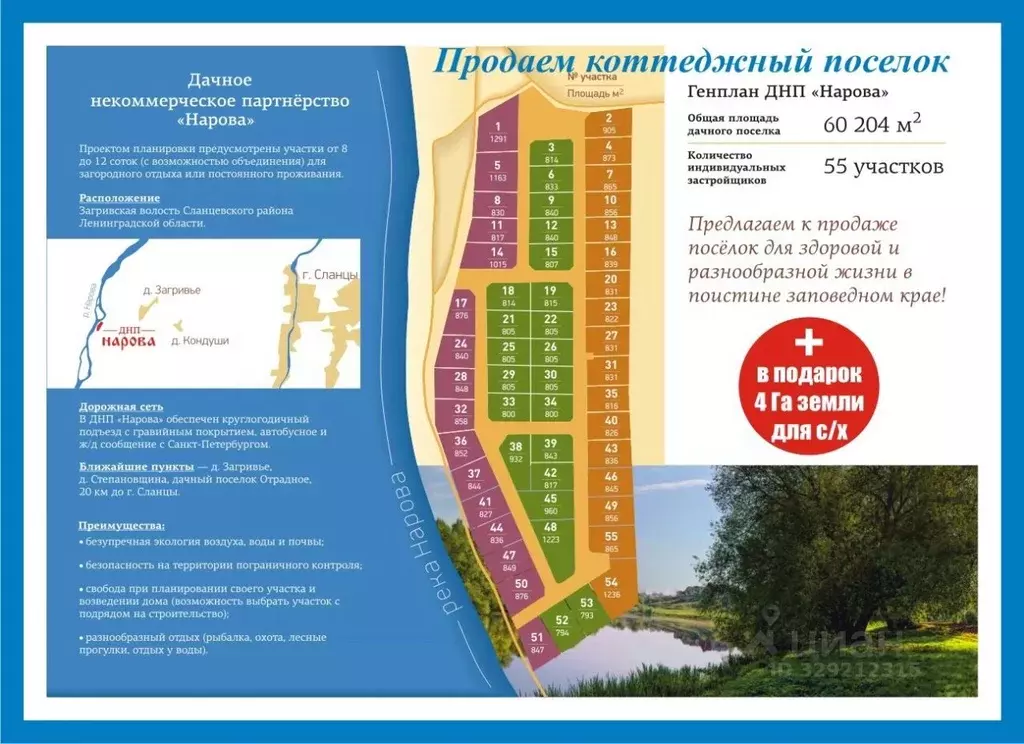 Участок в Ленинградская область, Сланцевский район, Загривское с/пос, ... - Фото 1