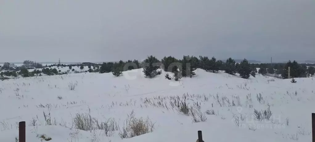 Участок в Челябинская область, Касли ул. Заветы Ильича (15.0 сот.) - Фото 2