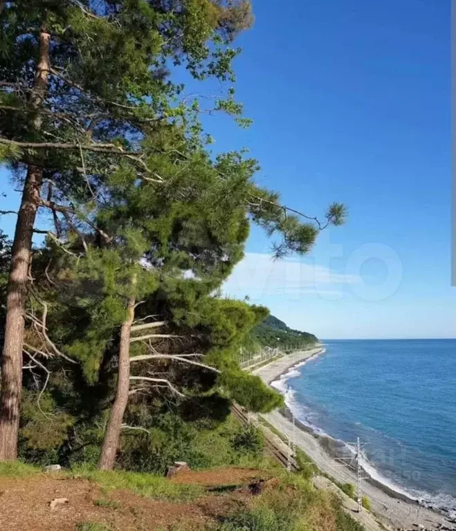 Участок в Краснодарский край, Сочи городской округ, с. Каткова Щель ... - Фото 0