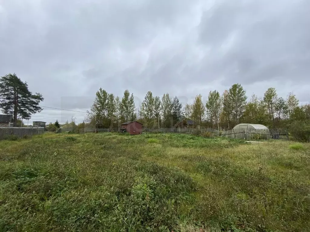 Участок в Новгородская область, Новгородский район, Ермолинское с/пос, ... - Фото 1