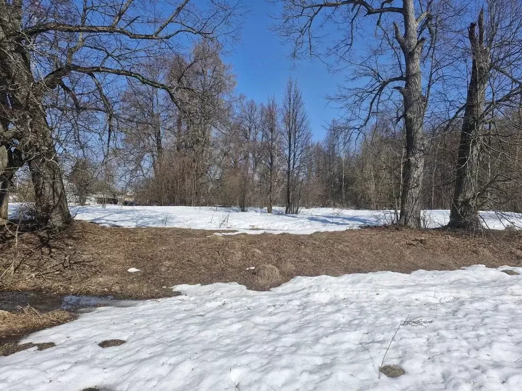 Участок в Московская область, Ступино городской округ, с. Бортниково  ... - Фото 1