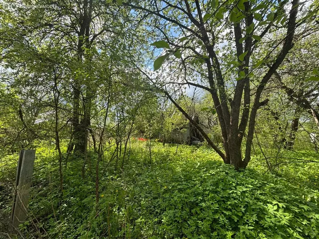 Участок в Калуга, территория ГК Березка-2 (4 м) - Фото 2