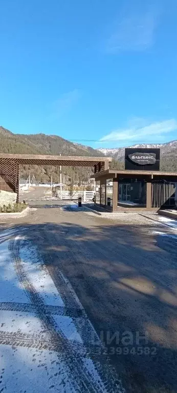 Участок в Алтай, Чемальский район, с. Чепош ул. Кучияк (5.0 сот.) - Фото 2