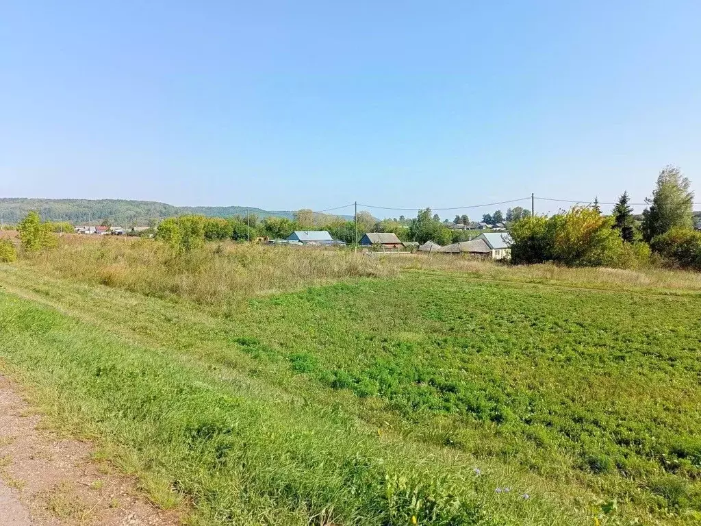 Участок в Кировская область, Вятскополянский район, Среднетойменское ... - Фото 2