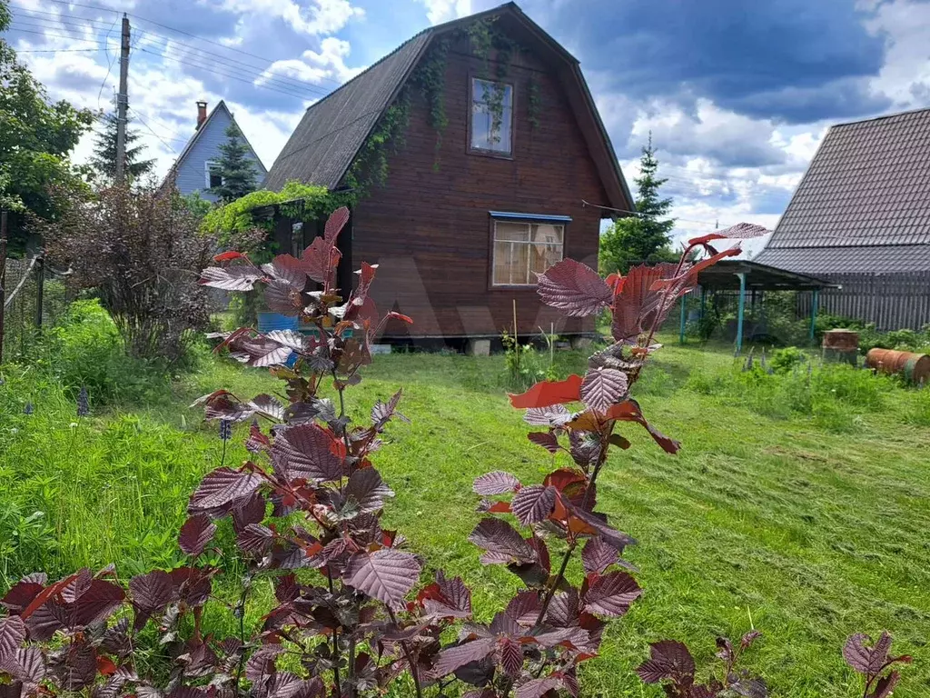 Дача 60 м на участке 6 сот. - Фото 0