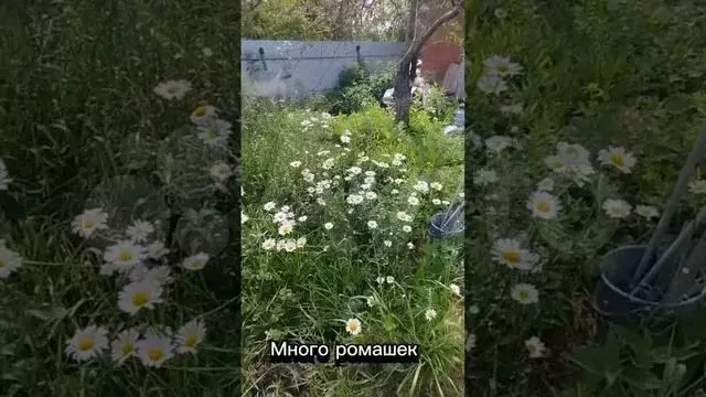 Дача 10 м на участке 5 сот. - Фото 1