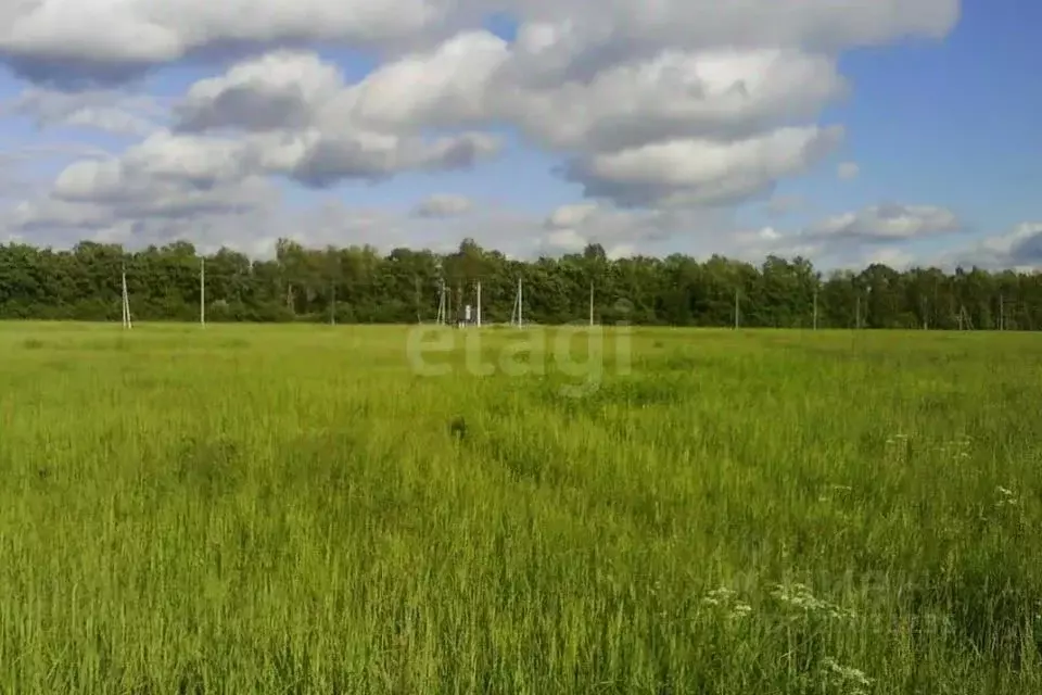 Участок в Ярославская область, Тутаевский муниципальный округ, ... - Фото 1