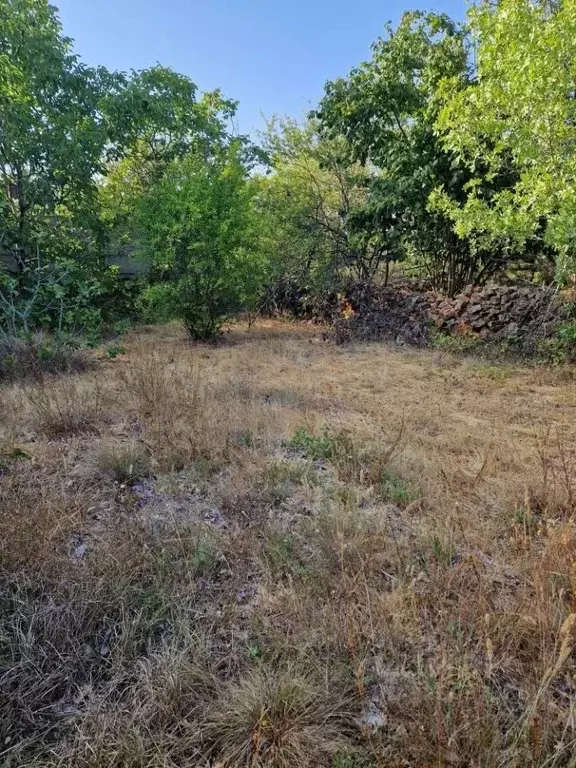 Участок в Севастополь Наука садоводческое товарищество, 400 (4.85 ... - Фото 1