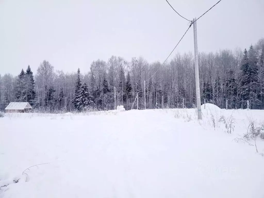 Участок в Коми, Сыктывдинский район, с. Выльгорт ул. Виталия Гилева ... - Фото 0