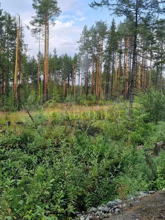 Участок 10,3 сот. (ИЖС) - Фото 1