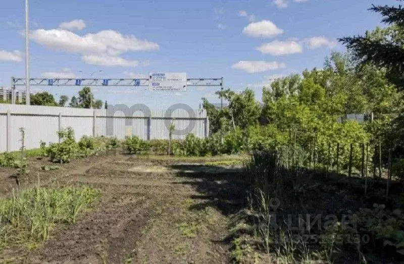 Участок в Тюменская область, Тюмень Курская ул. (10.96 сот.) - Фото 1