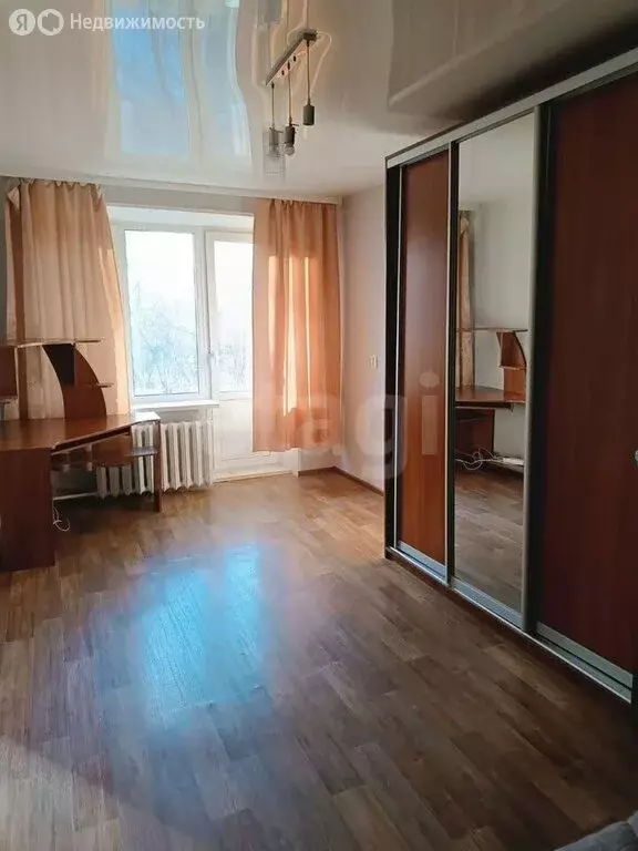 1-комнатная квартира: Нижний Новгород, улица Куйбышева, 45 (29.7 м) - Фото 2