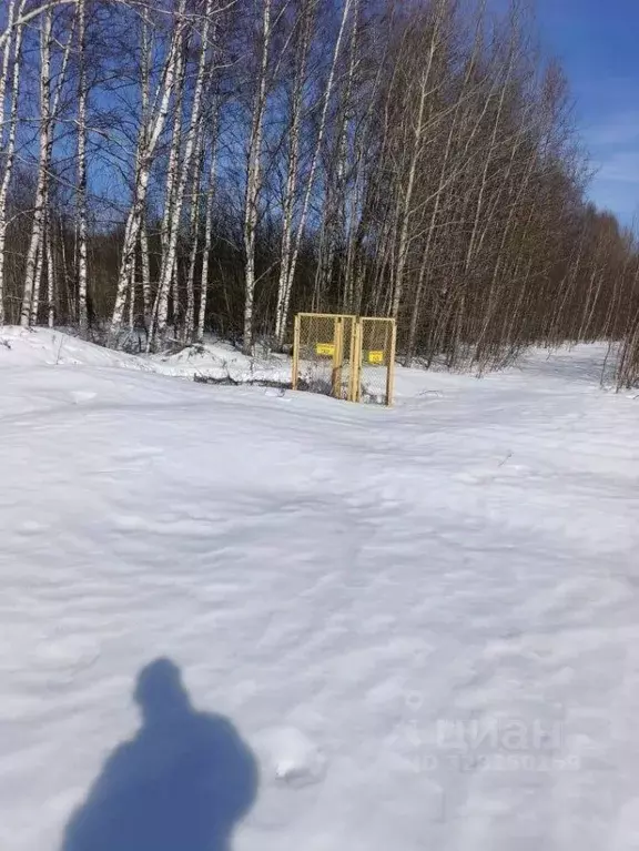 Участок в Нижегородская область, Богородский муниципальный округ, ... - Фото 1