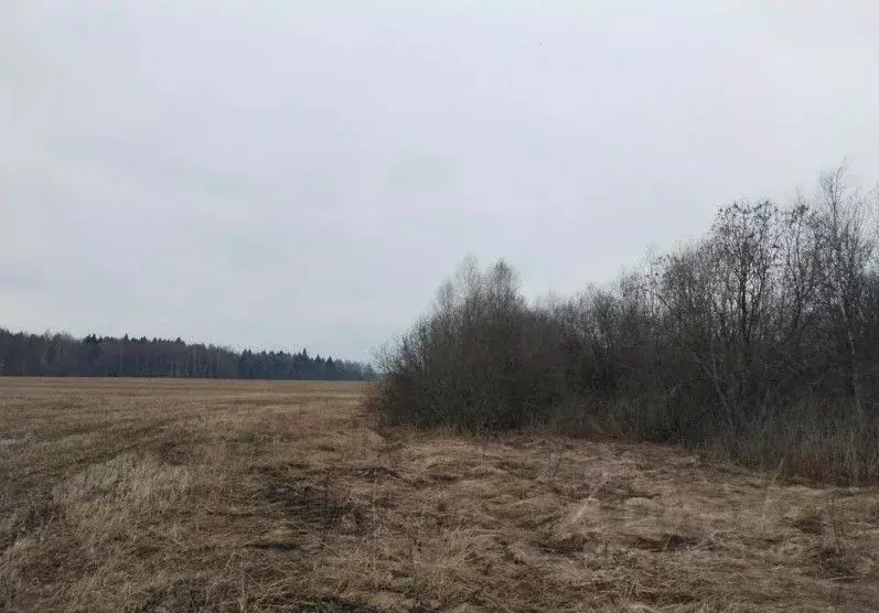 Участок в Московская область, Дмитровский муниципальный округ, д. ... - Фото 1