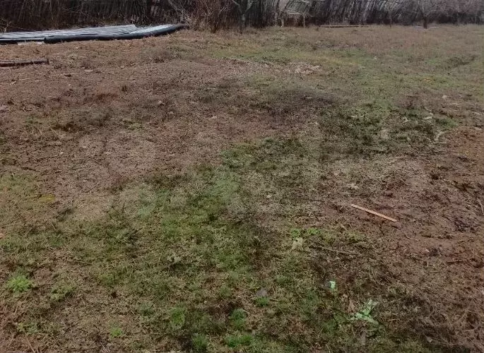 Участок 8,1 сот. (ИЖС) - Фото 1