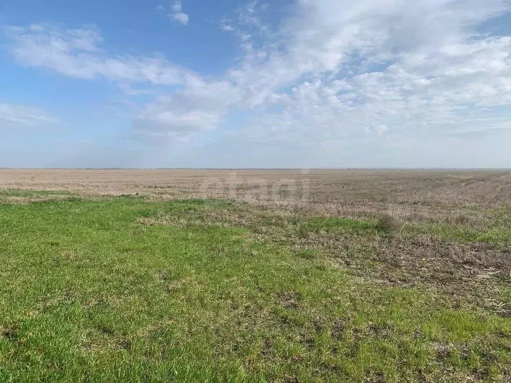 Участок в Крым, Красногвардейский район, Колодезянское с/пос, с. ... - Фото 1