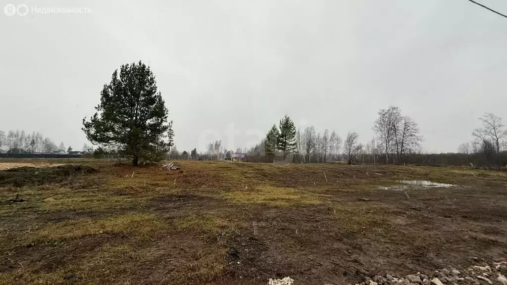 Участок в Сернурский район, Чендемеровское сельское поселение, деревня ... - Фото 2