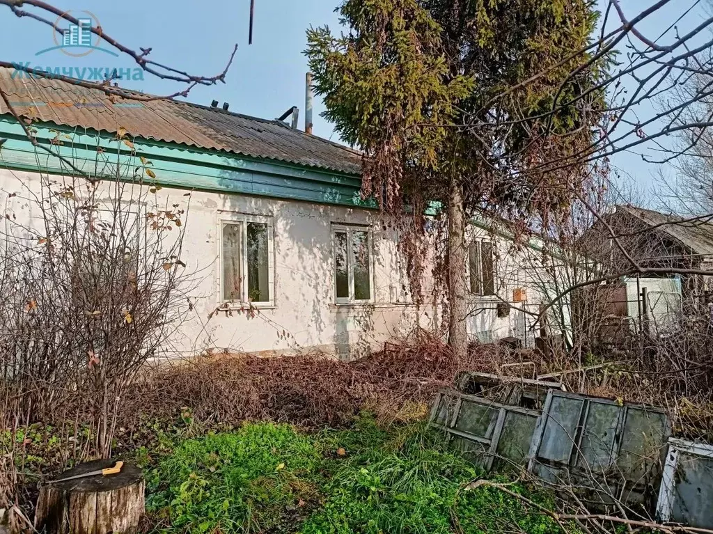 Дом в Ульяновская область, Мелекесский район, Тиинское с/пос, с. ... - Фото 2