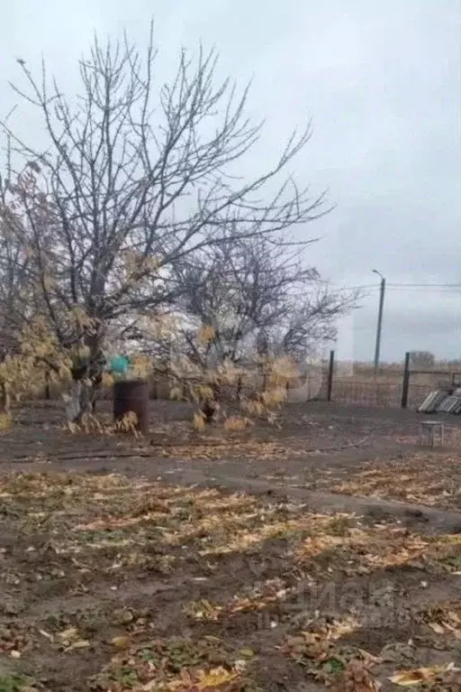 Участок в Волгоградская область, Среднеахтубинский район, Кировское ... - Фото 1