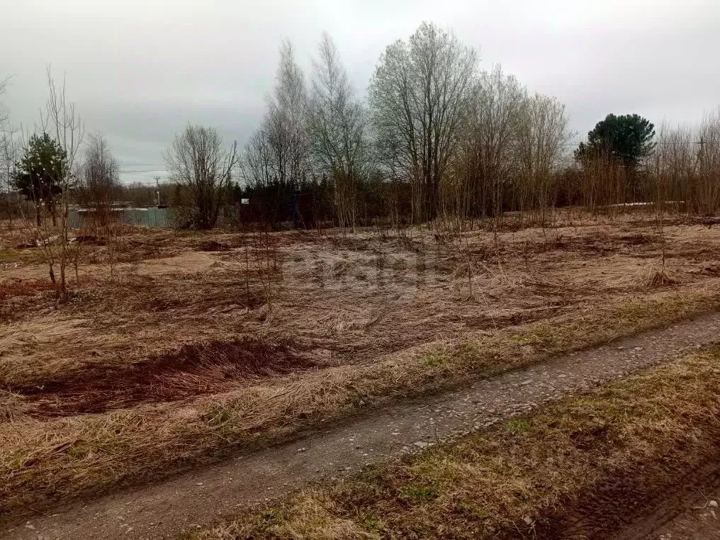 Участок в Московская область, Сергиево-Посадский городской округ, с. ... - Фото 2