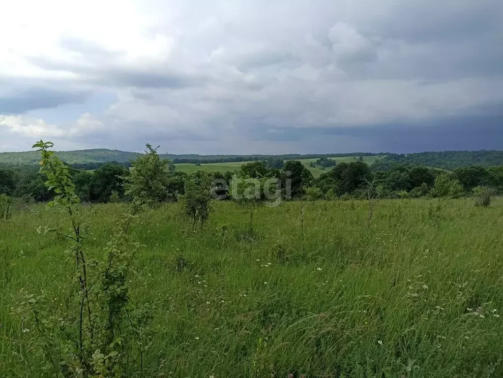 Участок в Севастопольская, Садовая улица (343 м) - Фото 2