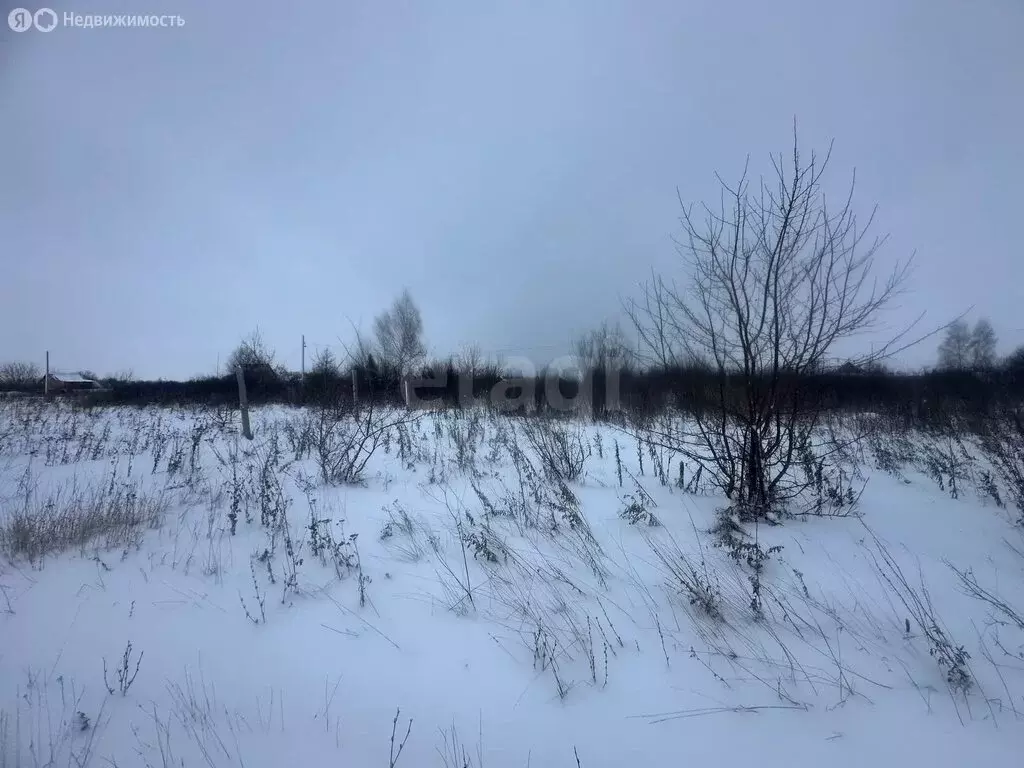 Участок в Наумовский сельсовет, СНТ Майское, 7-й проезд (10 м) - Фото 2