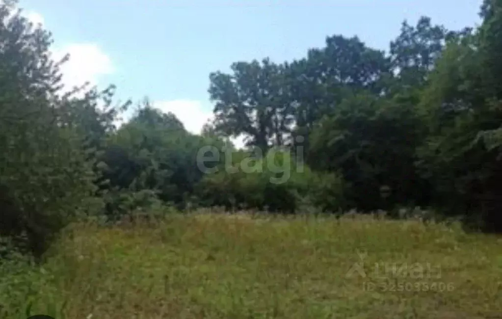 Участок в Краснодарский край, Геленджик городской округ, Широкая Щель ... - Фото 1