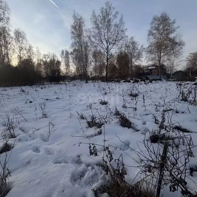 Участок в Новосибирская область, Новосибирский район, Каменский ... - Фото 2