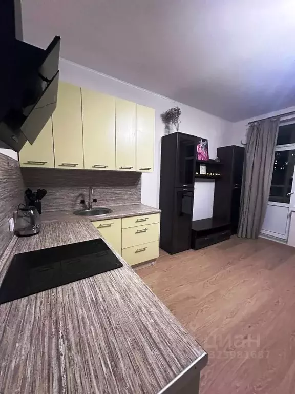 Студия Санкт-Петербург аллея Арцеуловская, 23к1 (24.3 м) - Фото 1