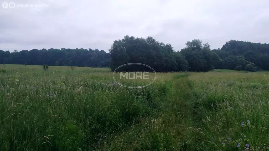 Участок в Калининградская область, Краснознаменский муниципальный ... - Фото 0