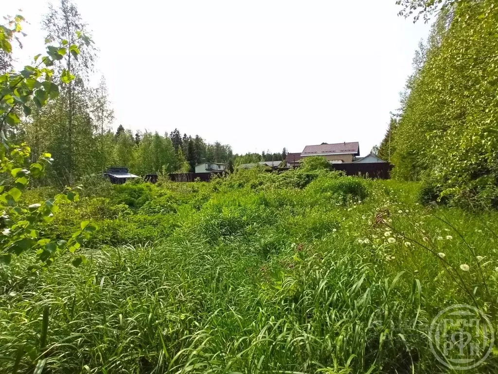 Участок в Ленинградская область, Сертолово Всеволожский район, Ягодка ... - Фото 2