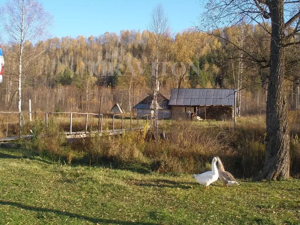 Дом в Алтай, с. Чоя  (103 м) - Фото 2