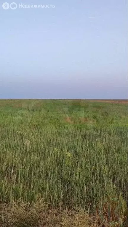 Участок в Сакский район, Суворовское сельское поселение, село Великое ... - Фото 1