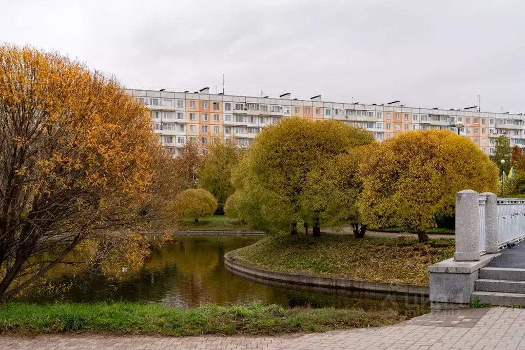 2-к кв. Санкт-Петербург Белградская ул., 16 (51.0 м) - Фото 0