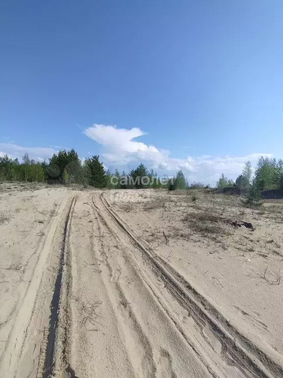 Участок 6 сот. (СНТ, ДНП) - Фото 0