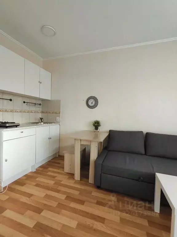 Студия Новосибирская область, Новосибирск ул. Виктора Уса, 9 (23.0 м) - Фото 2