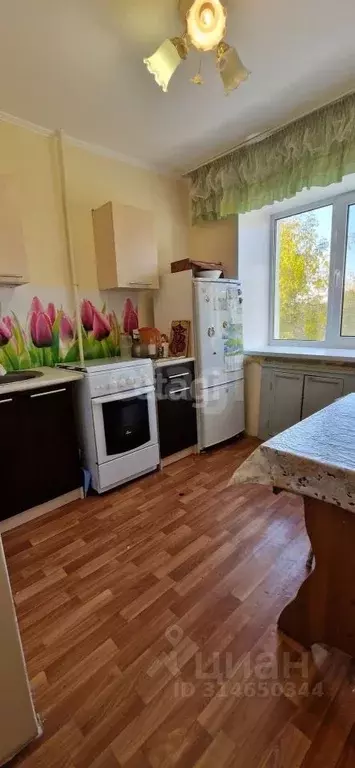 1-к кв. Тюменская область, Тюмень Мыс мкр, ул. Мусоргского, 40 (32.0 ... - Фото 0