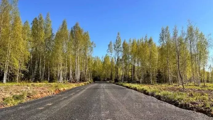 Участок в Ленинградская область, Всеволожский район, Куйвозовское ... - Фото 0