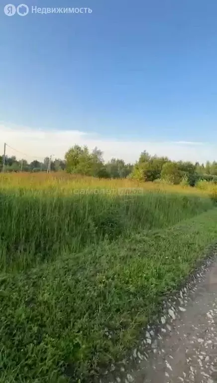Участок в Московская область, городской округ Клин, СНТ Альпийские ... - Фото 2