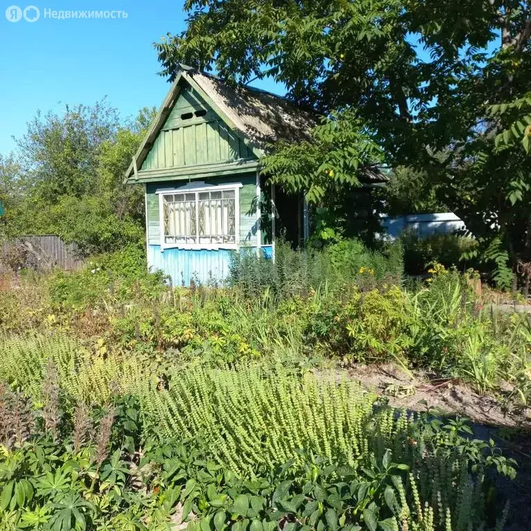 Дом в Комсомольск-на-Амуре, СНТ АСЗ Сад № 6, 9-я Багульная улица (18 ... - Фото 1