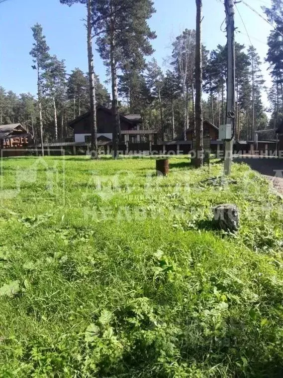 Участок в Кемеровская область, Кемеровский муниципальный округ, с. ... - Фото 1