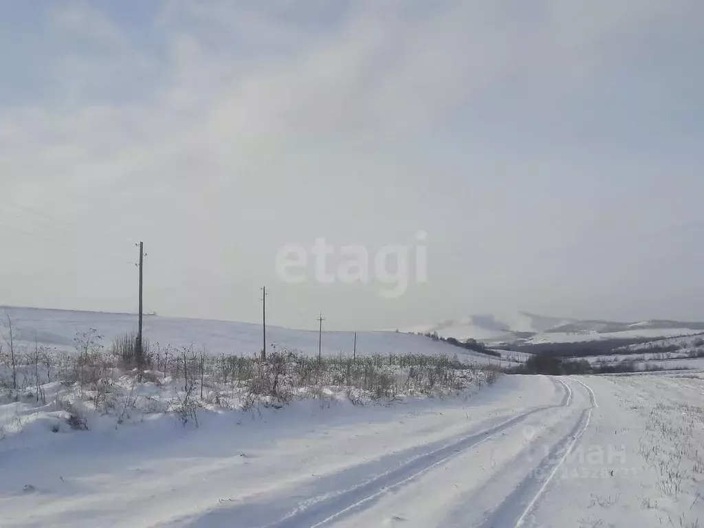 Участок в Алтайский край, Алтайский район, с. Нижнекаменка  (80000.0 ... - Фото 1