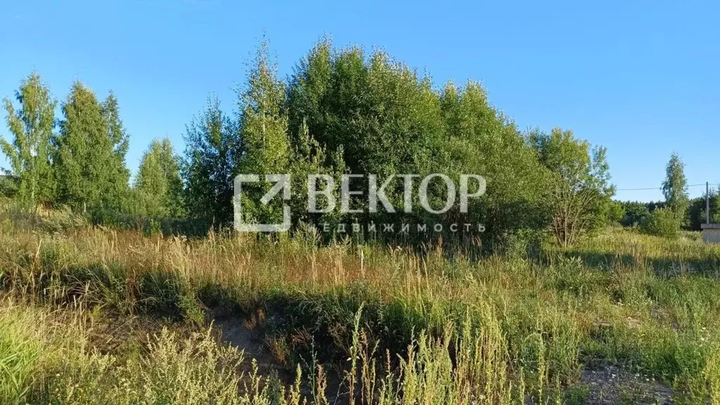 Участок в Костромская область, Кострома ул. Героев (8.76 сот.) - Фото 2