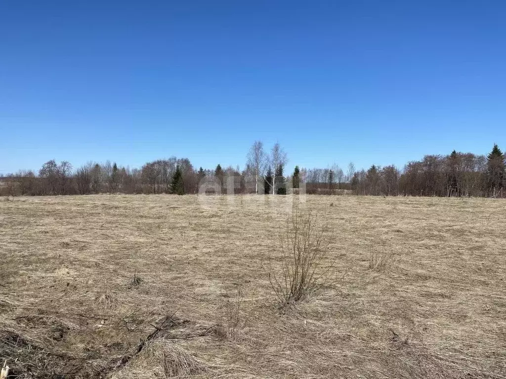 Участок в Архангельская область, Котласский муниципальный округ, д. ... - Фото 1