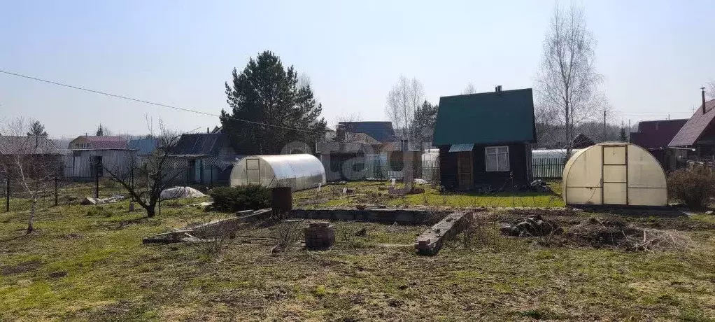 Участок в Новосибирская область, Тогучинский район, Заринка СТ ул. ... - Фото 1