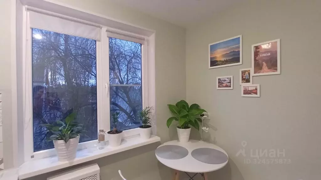 1-к кв. Псковская область, Псковский район, Ядровская волость, д. ... - Фото 2