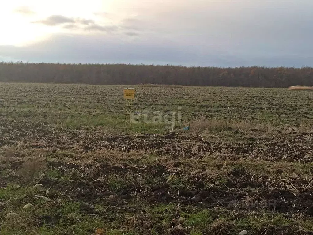 Участок в Адыгея, Майкоп городской округ, Надежда СДТ  (6.0 сот.) - Фото 0