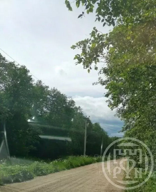 Участок в Ленинградская область, Лужский район, Володарское с/пос, д. ... - Фото 2