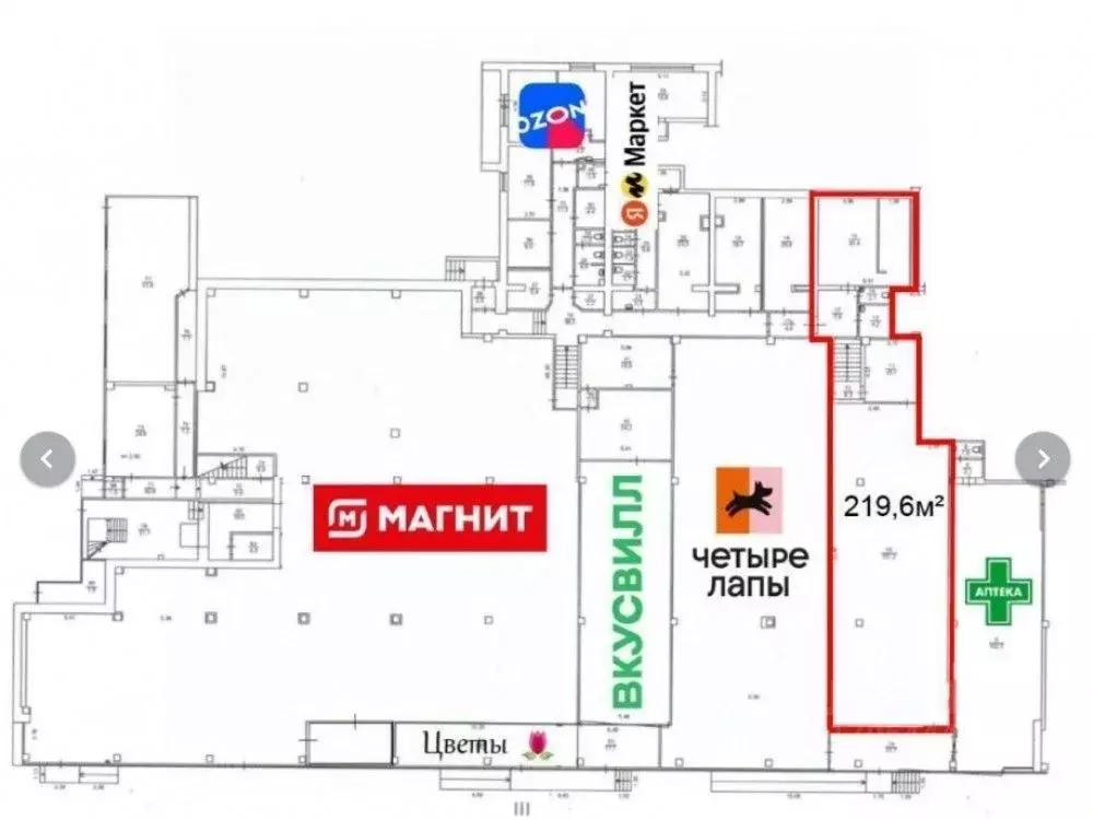 Торговая площадь в Москва Уссурийская ул., 9 (220 м) - Фото 2
